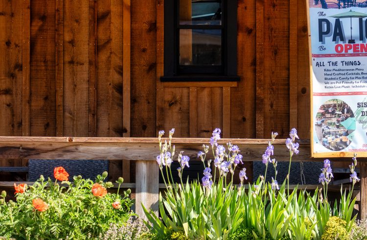 iris flowers in front of a wooden building