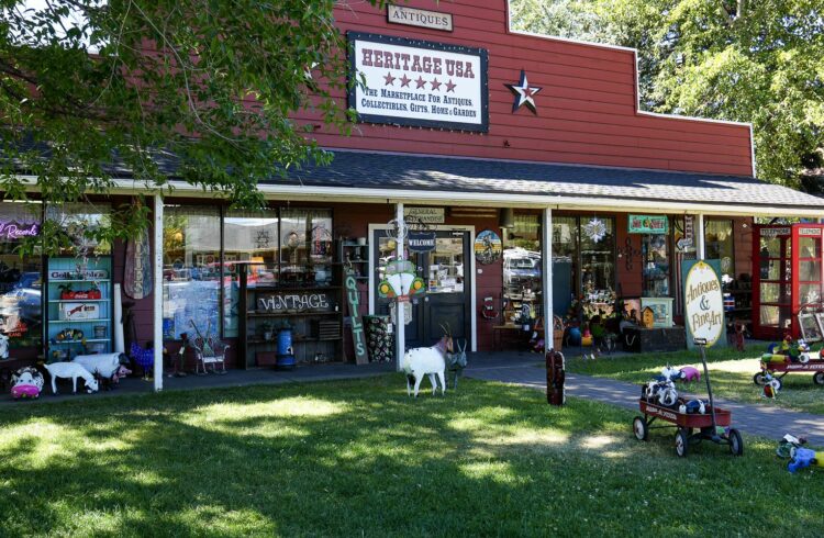 vintage store with outdoor display on the sunny lawn