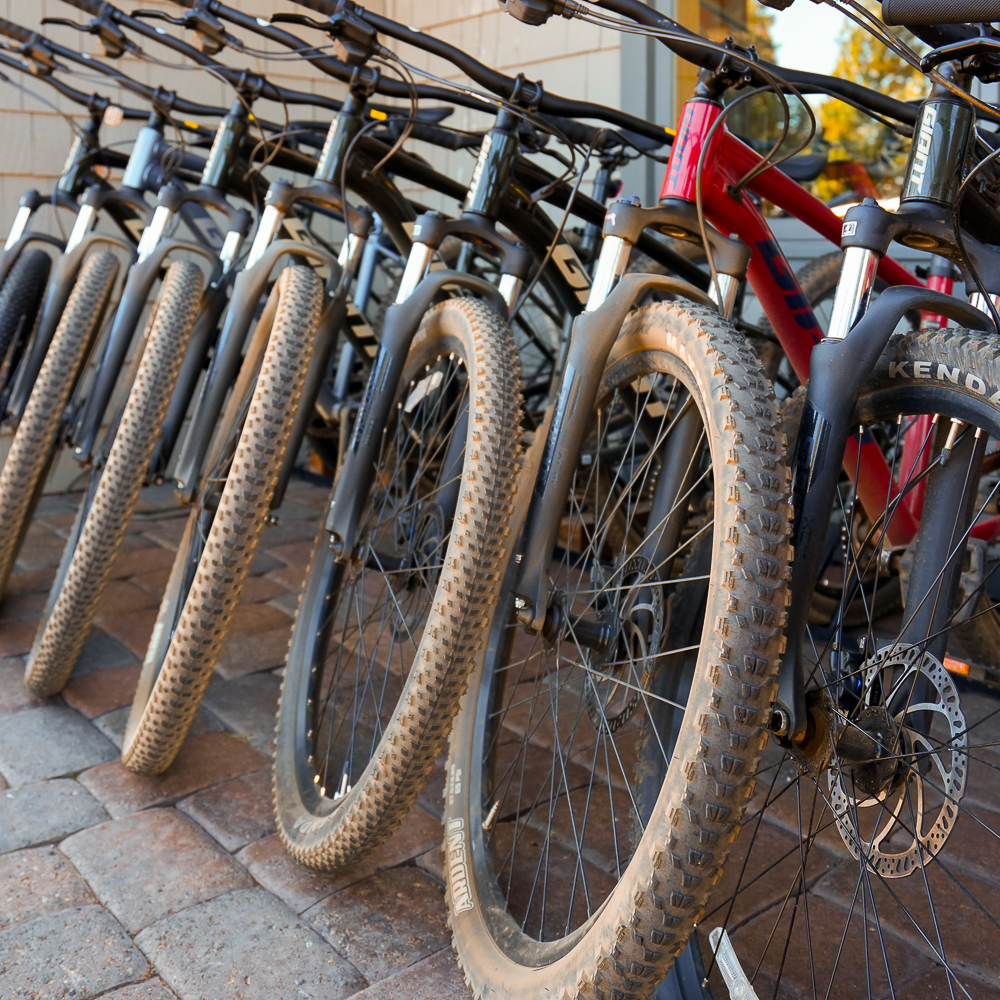 Rental bikes on display