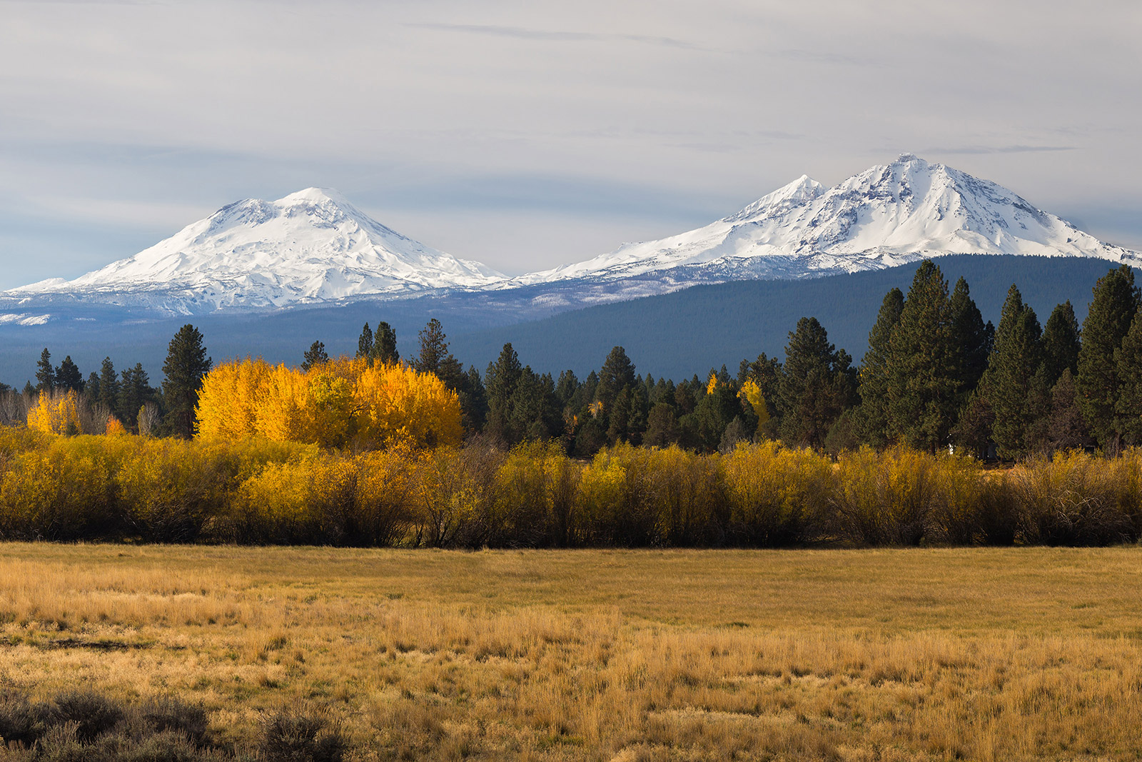 View of the Three Sisters mountains from a grassy field