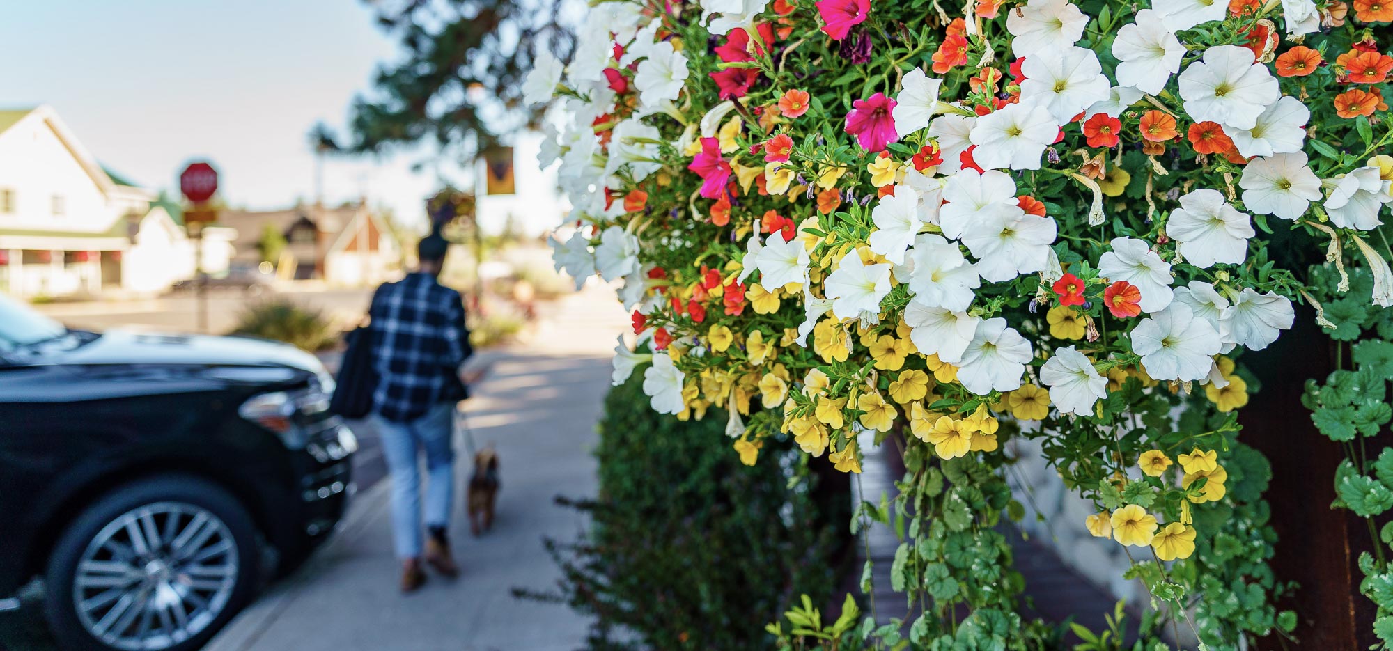 Bouquet of flowers hanging in downtown Sisters Oregon