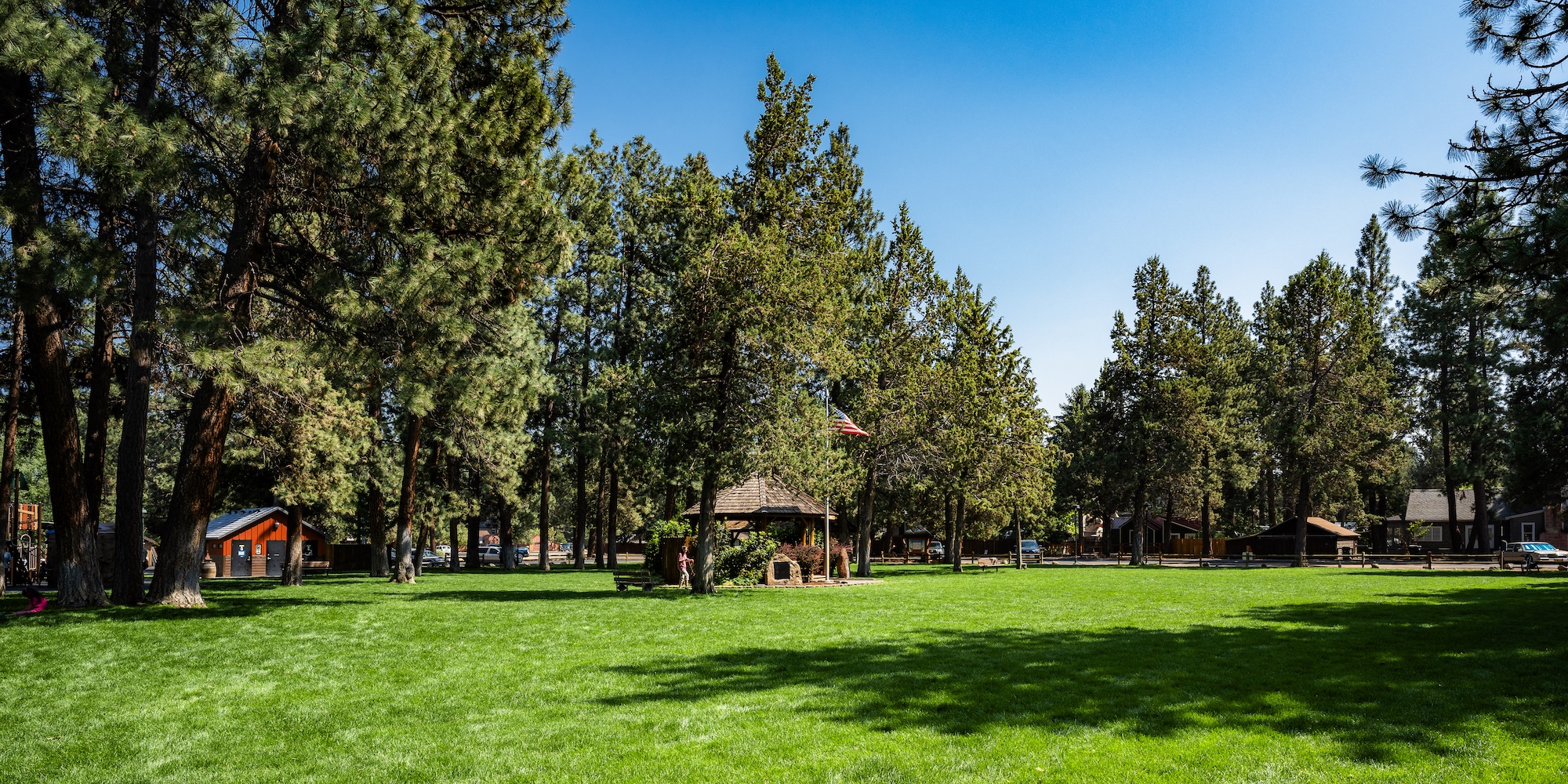 lush green park on a sunny day